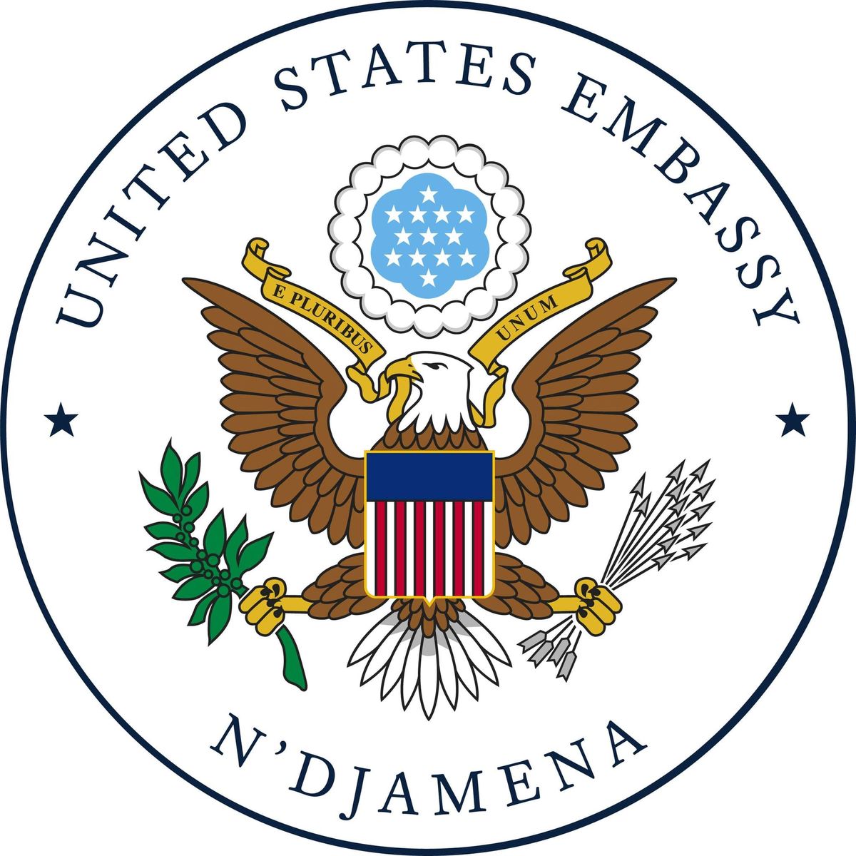 Invités à une réunion en ligne pour les Américains au Tchad