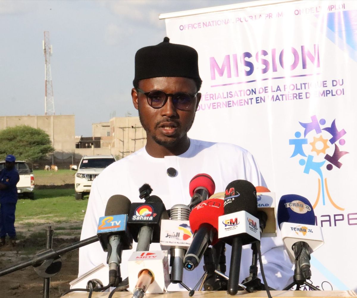 Jeunes formés au maraîchage urbain à N'Djamena