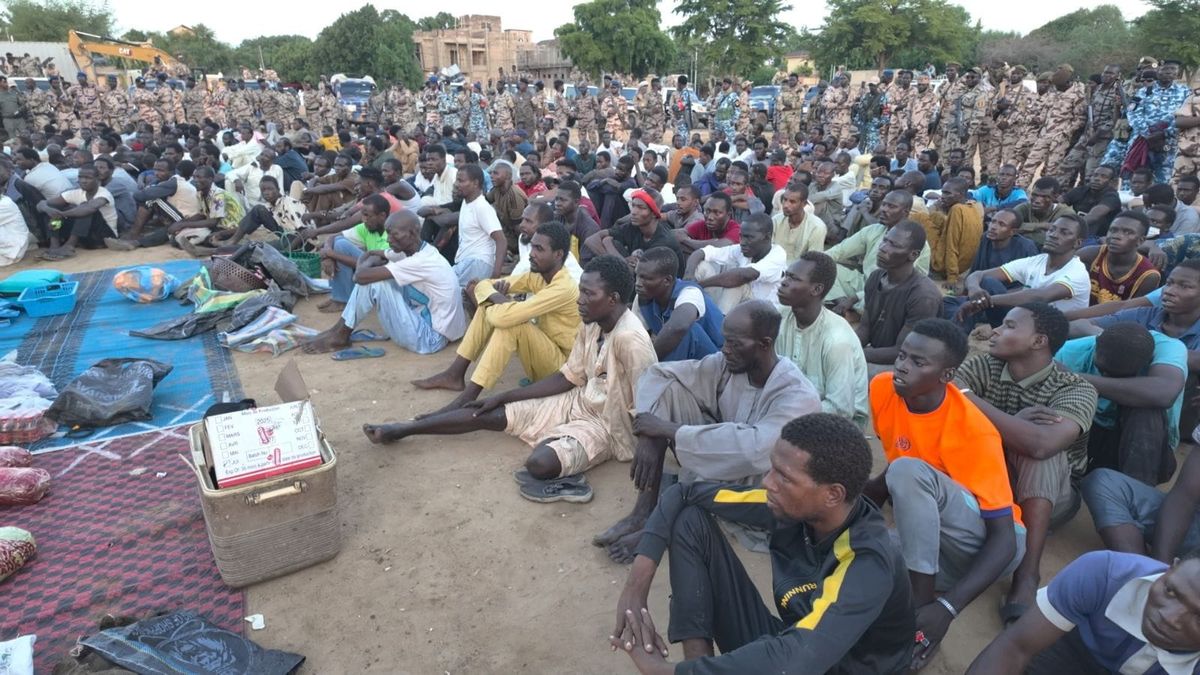N’Djamena : 252 interpellations lors d’une vaste opération anti-drogue